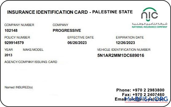 Printable Palestine State health insurance card download for verification